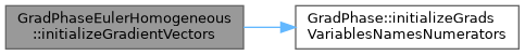 ECOGEN: GradPhaseEulerHomogeneous Class Reference